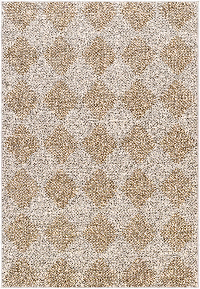 Collen Outdoor Area Rug by Boutique Rugs
