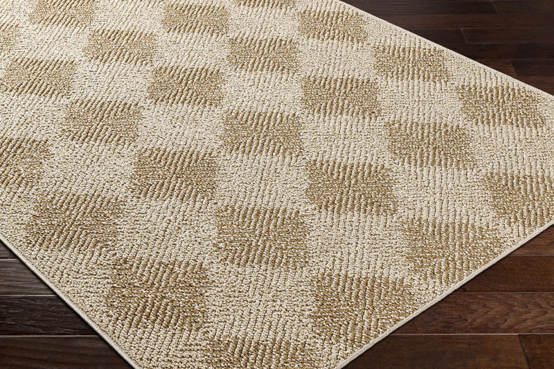 Collen Outdoor Area Rug by Boutique Rugs