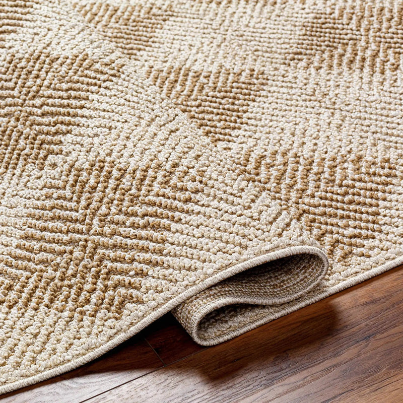 Collen Outdoor Area Rug by Boutique Rugs