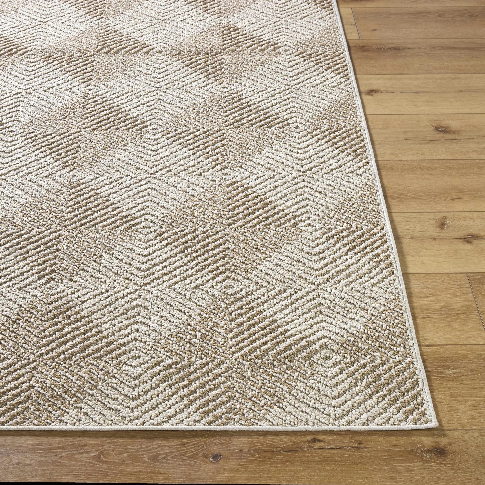 Collen Outdoor Area Rug by Boutique Rugs