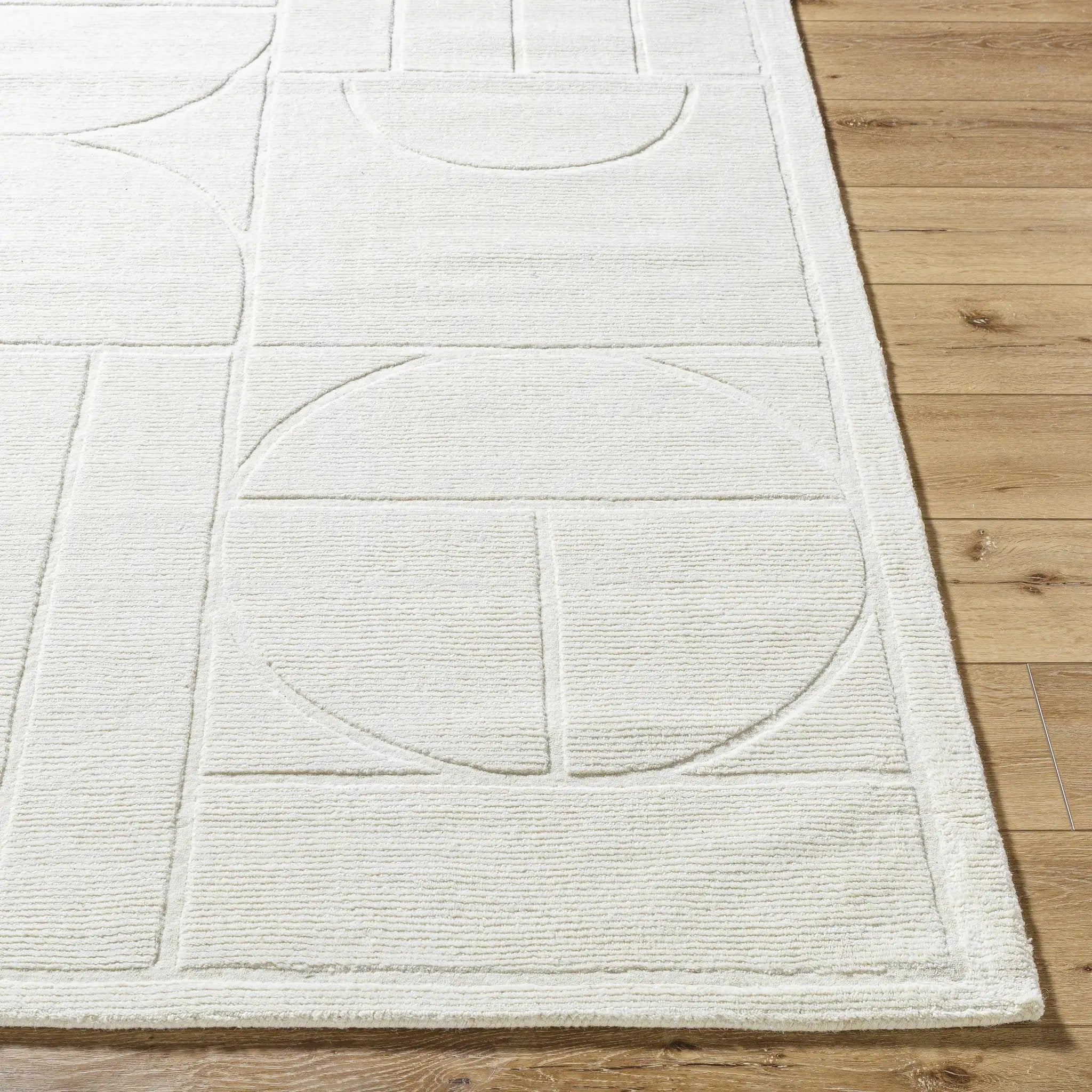 Carola Area Rug - Clearance by Boutique Rugs