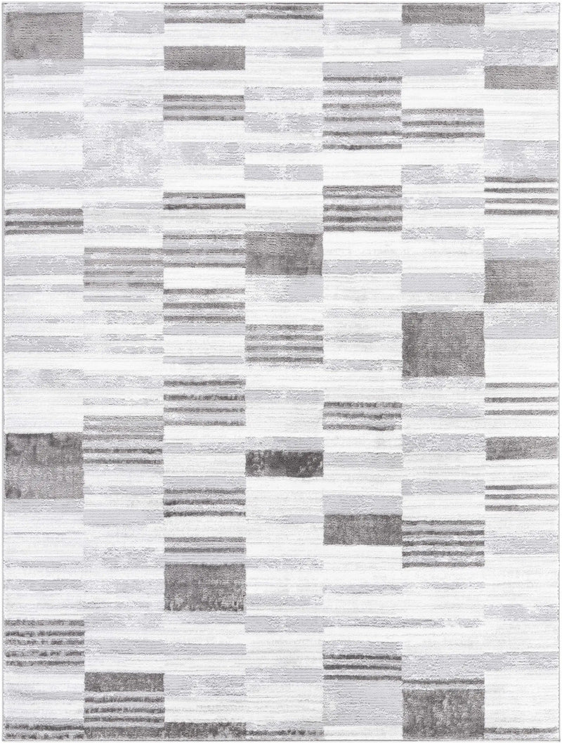 Chiaki Light Gray Area Rug by Boutique Rugs