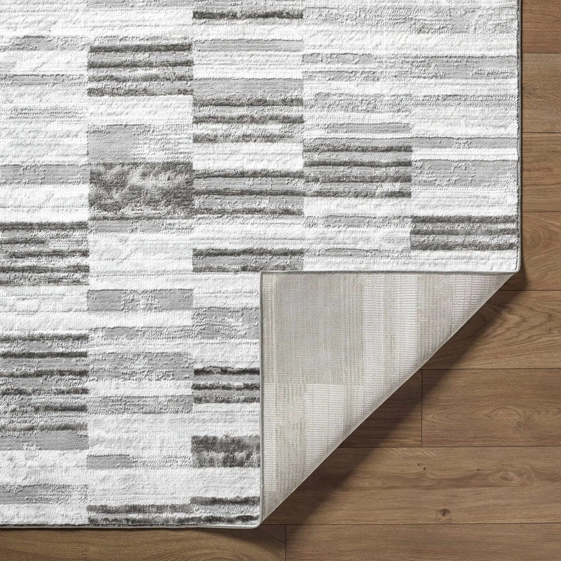 Chiaki Light Gray Area Rug by Boutique Rugs