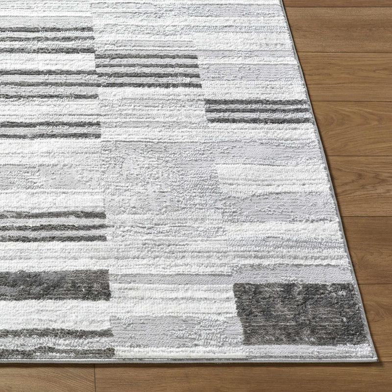 Chiaki Light Gray Area Rug by Boutique Rugs