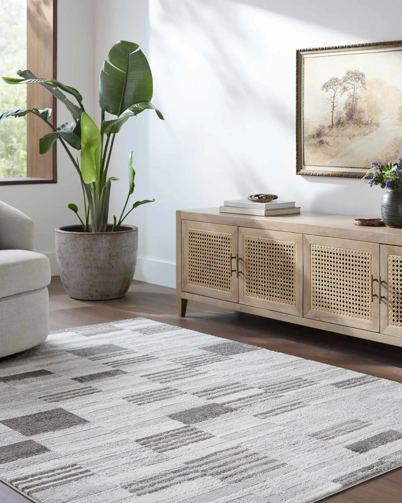 Chiaki Light Gray Area Rug by Boutique Rugs