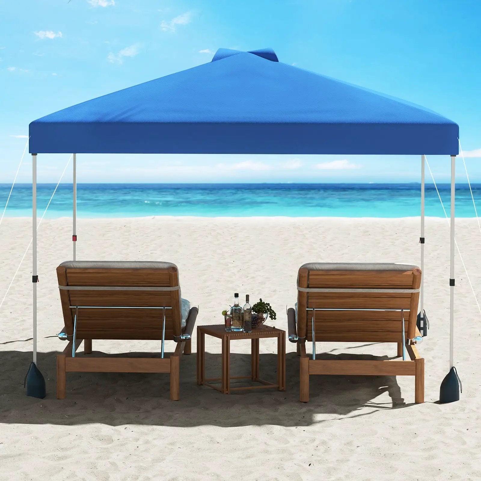 10 X 10 FT Pop up Canopy Tent with 1 Sidewall and Wheeled Bag by DirectDeals
