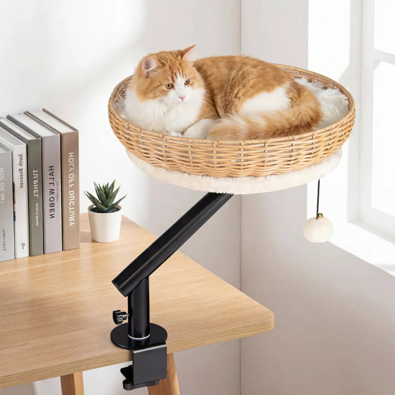 Cat Desk Bed with Removable Padded Cushion for Indoor Cats by DirectDeals