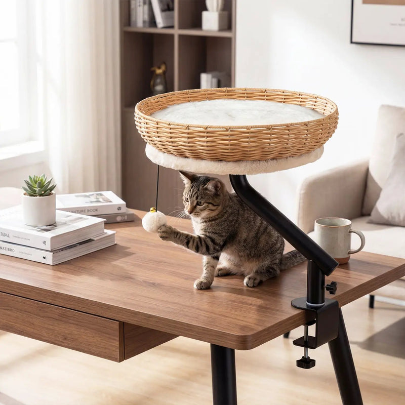 Cat Desk Bed with Removable Padded Cushion for Indoor Cats by DirectDeals