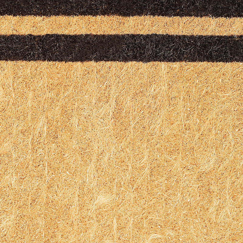 Double Black Border Coir Doormat by Fab Habitat