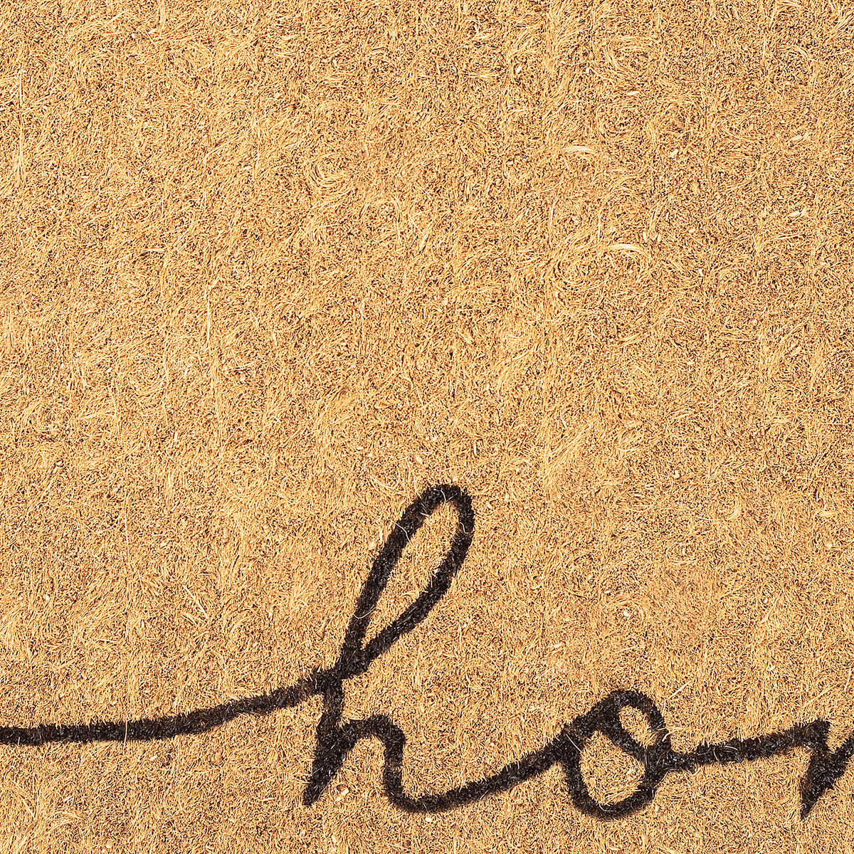 Home Line Art Coir Doormat, close-up of the surface