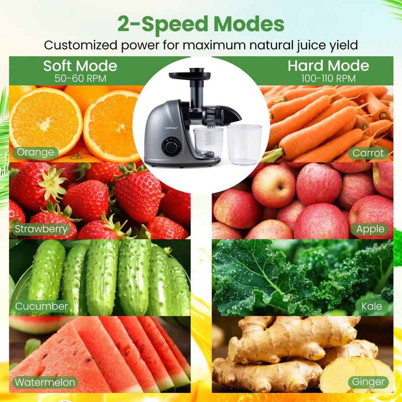 Cold Press Juicer Machine with 95% Juice Yield - Silver by DirectDeals