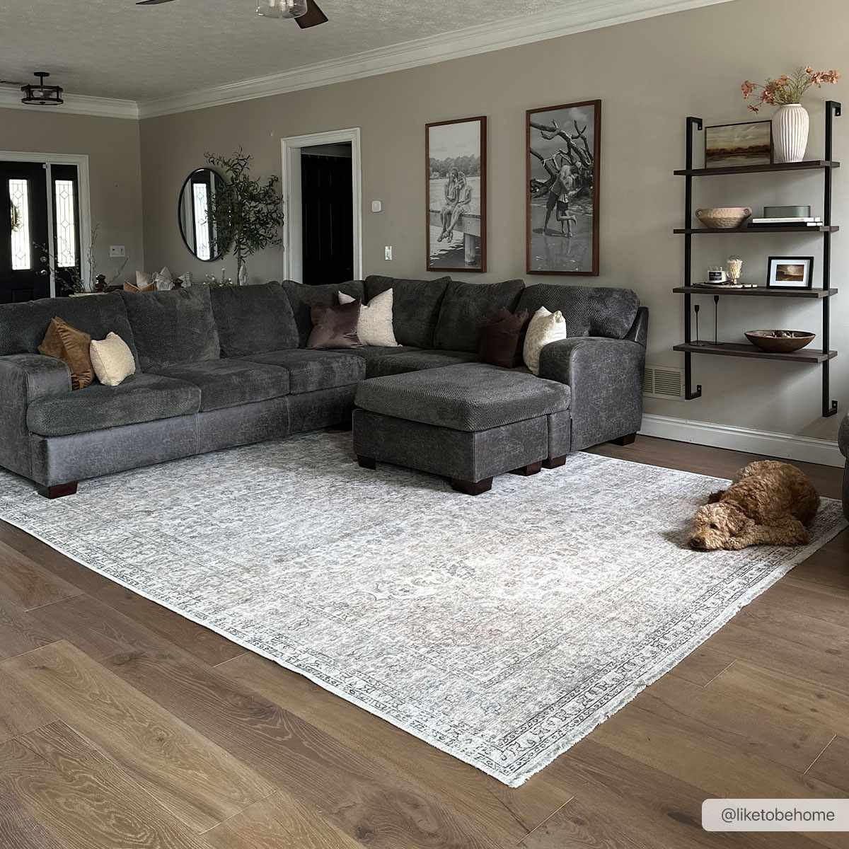 Cream Holi-2301 Washable Area Rug by Boutique Rugs