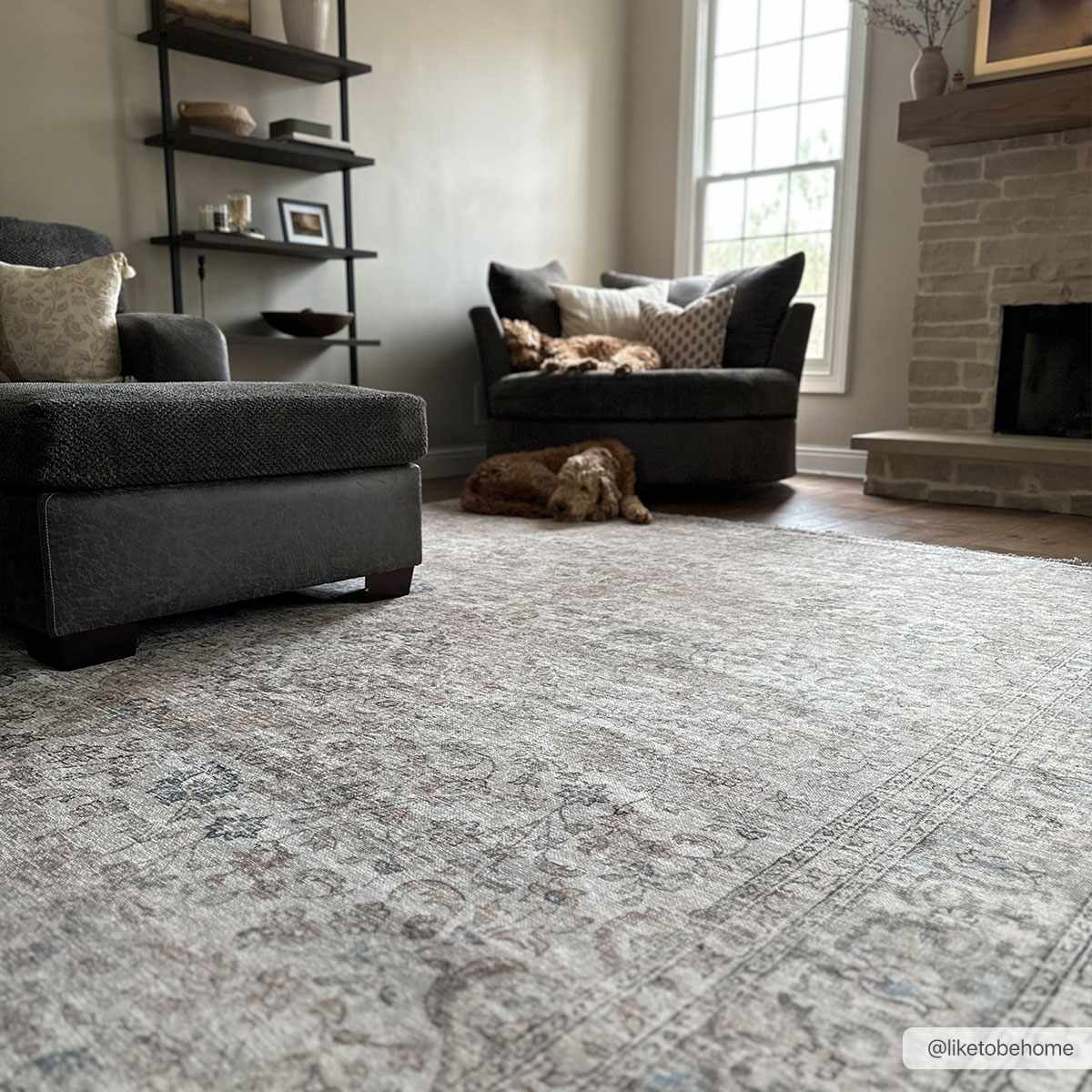 Cream Holi-2301 Washable Area Rug by Boutique Rugs