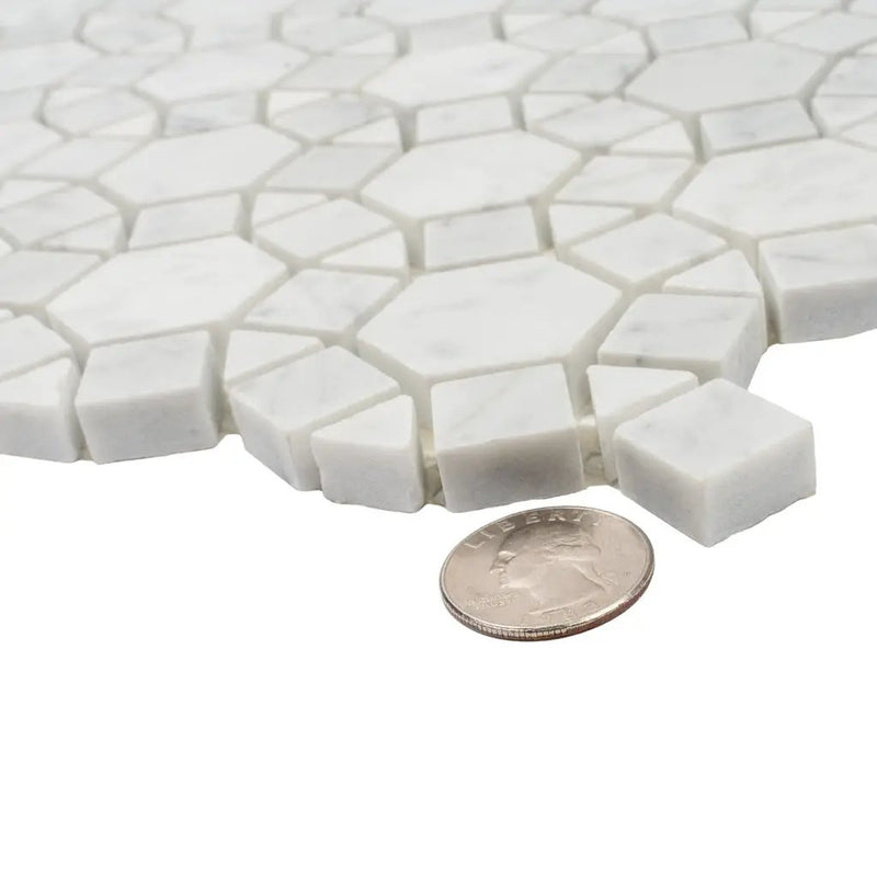 Cotton White 11x13 Polished Multi-shaped Bianco Carrara Marble Mosaic Tile (5 pack, 4.85 sq ft/case) by Apollo Tile