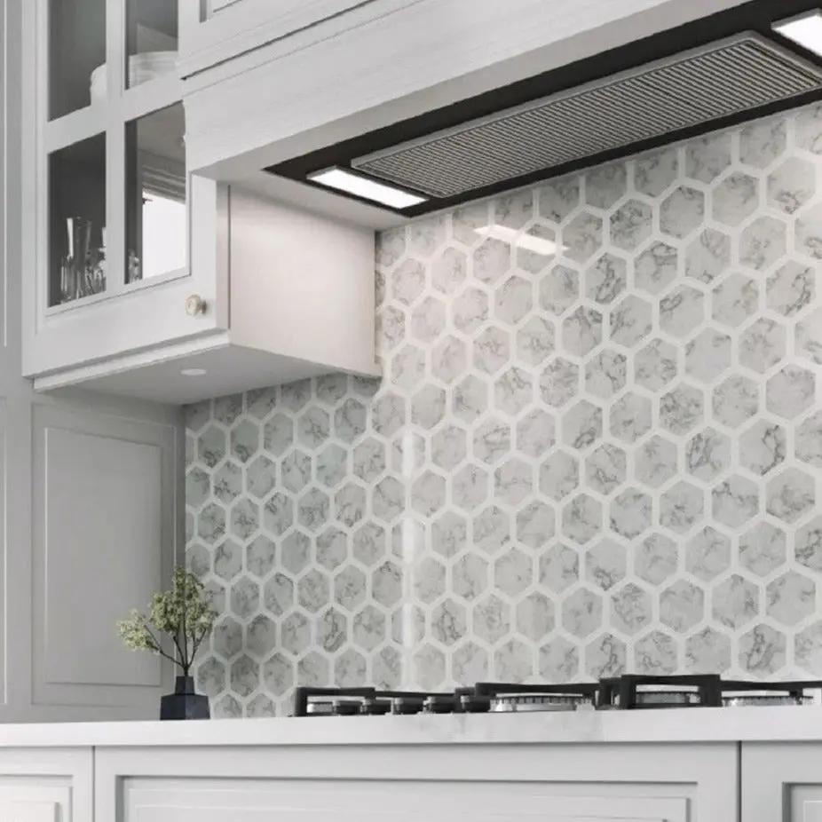 White Gray 10x12 Polished Hexagon Bianco Carrara Thassos Marble Mosaic Tile (5 pack, 4.34 sq ft/case) by Apollo Tile