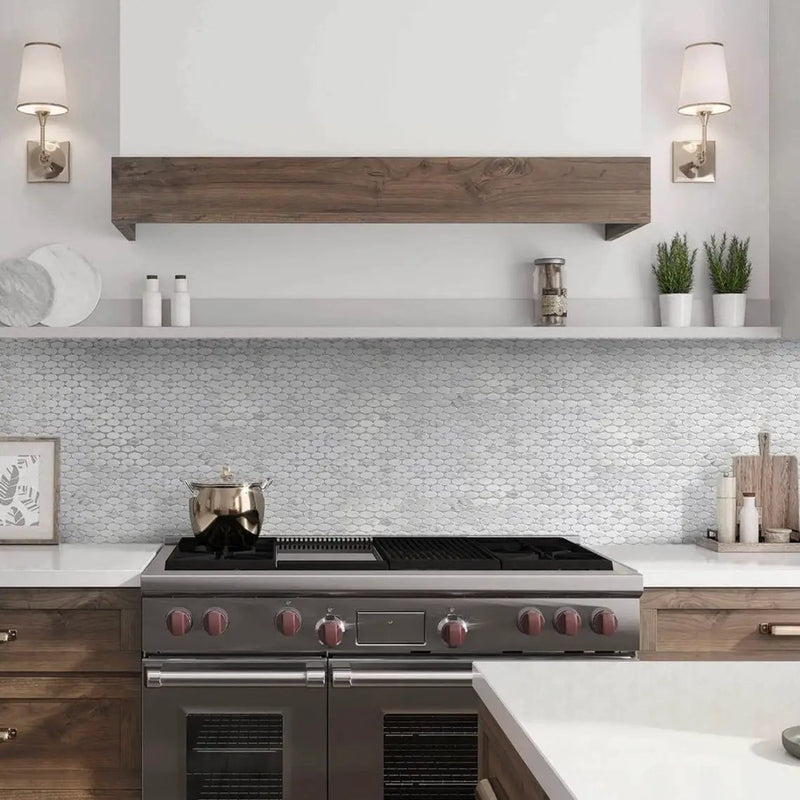 White 11x12 Polished Oval Bianco Carrara Marble Mosaic Tile (5 pack, 4.51 sq ft/case) by Apollo Tile