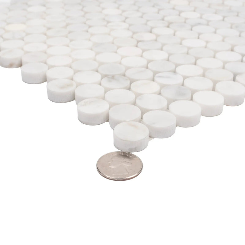 White 11x12 Polished Penny Round Bianco Carrara Marble Mosaic Tile (5 pack, 4.82 sq ft/case) by Apollo Tile