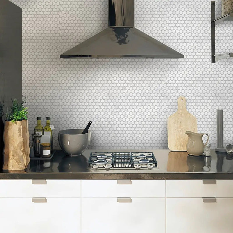 White 11x12 Honed Penny Round Bianco Carrara Marble Mosaic Tile (5 pack, 4.83 sq ft/case) by Apollo Tile