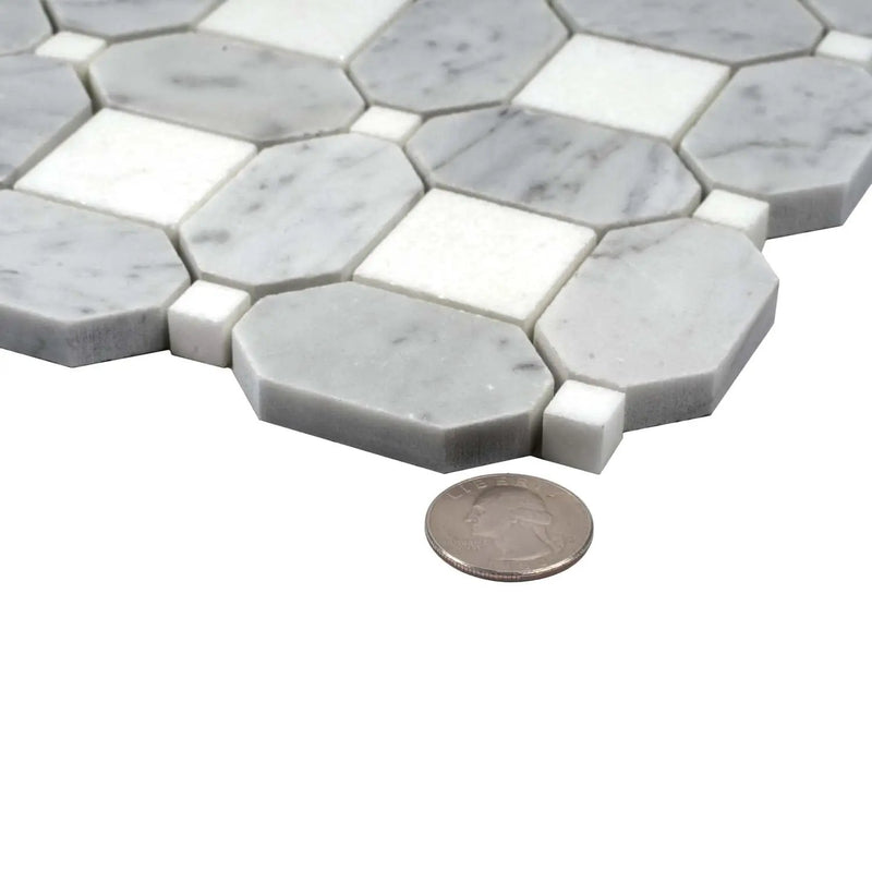 White Gray 12x12 Polished Multi-shaped Thassos Bianco Carrara Marble Mosaic Tile (5 pack, 5.17 sq ft/case) by Apollo Tile