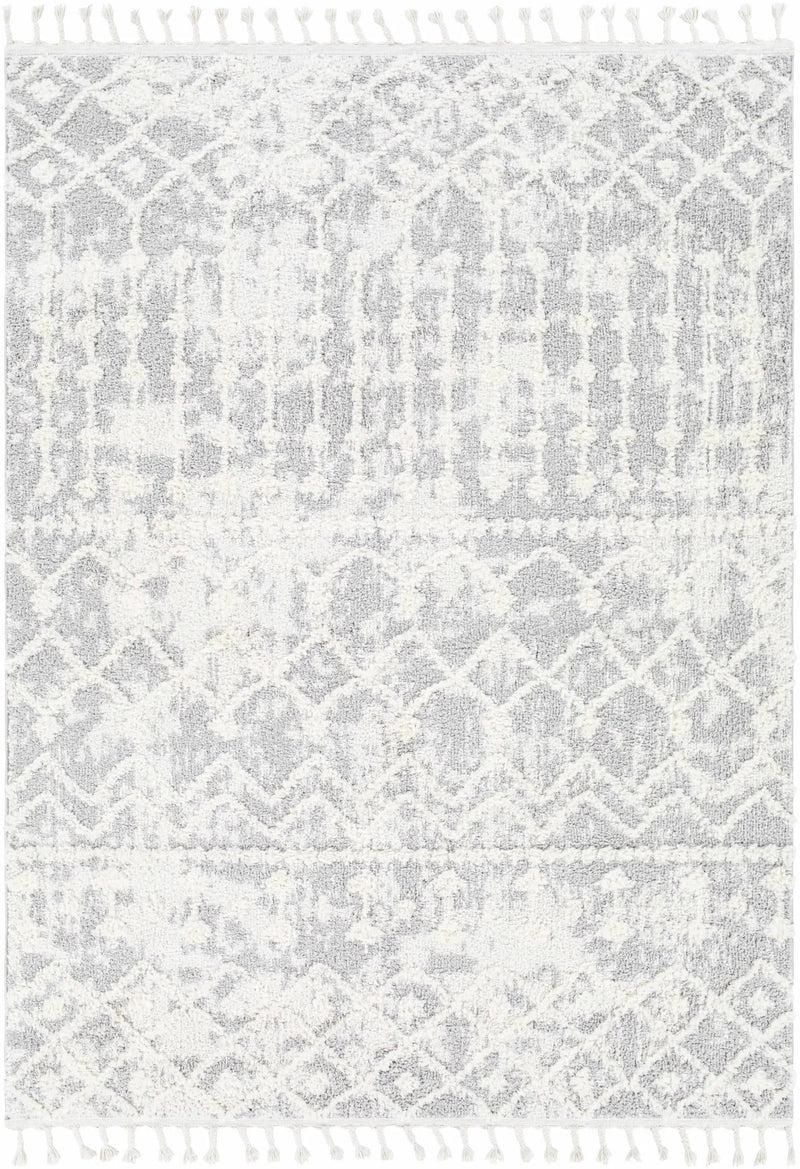 Dolo Area Rug - Clearance by Boutique Rugs