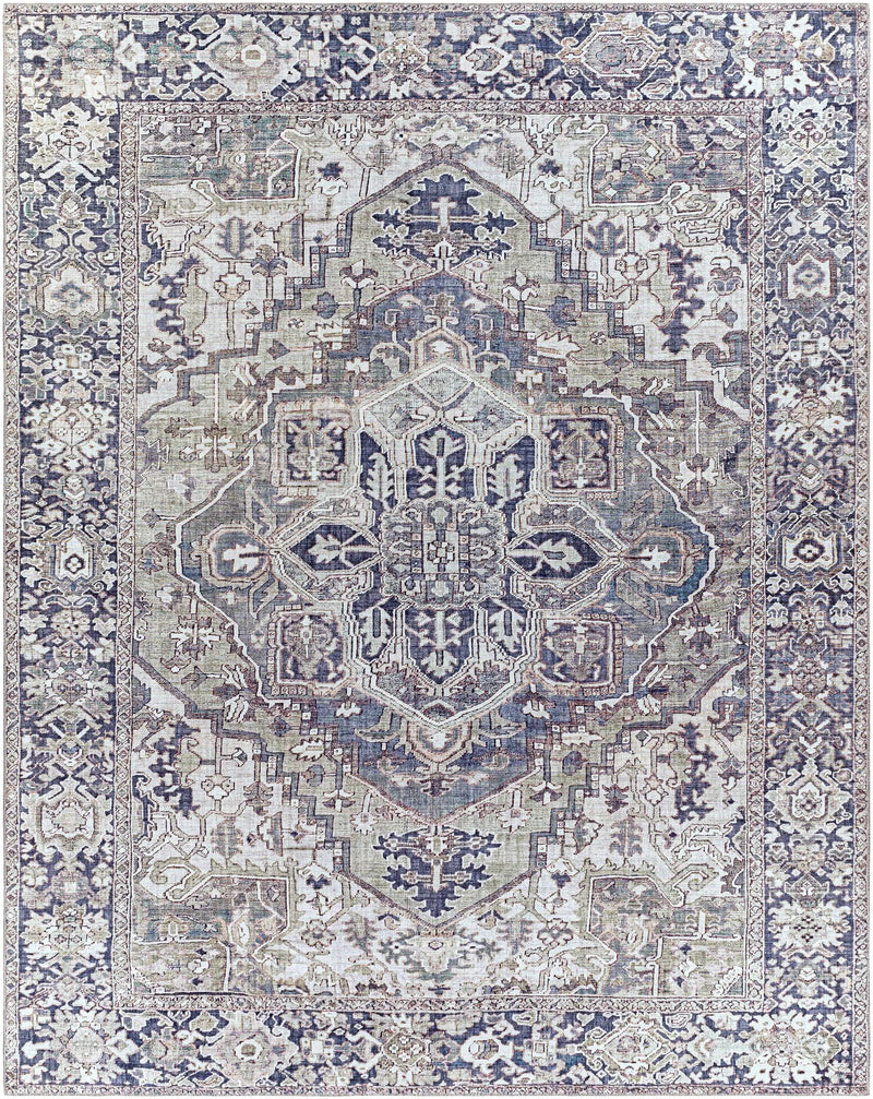 Neyland Iris Gray Area Rug 2359 by Boutique Rugs