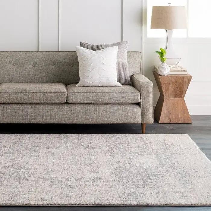 5' x 7' Distressed Oriental Area Rug in Light Grey / Beige by HomePacific