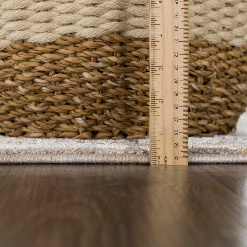 Alroy Textured Rug with Fringes by Boutique Rugs