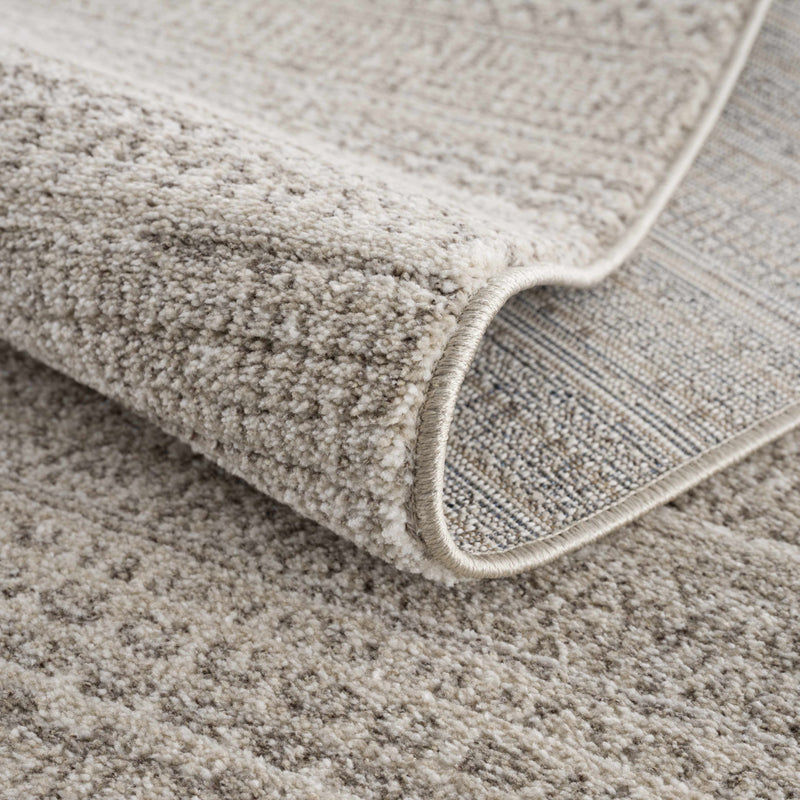 Nate Beige Tribal High Pile Carpet by Boutique Rugs