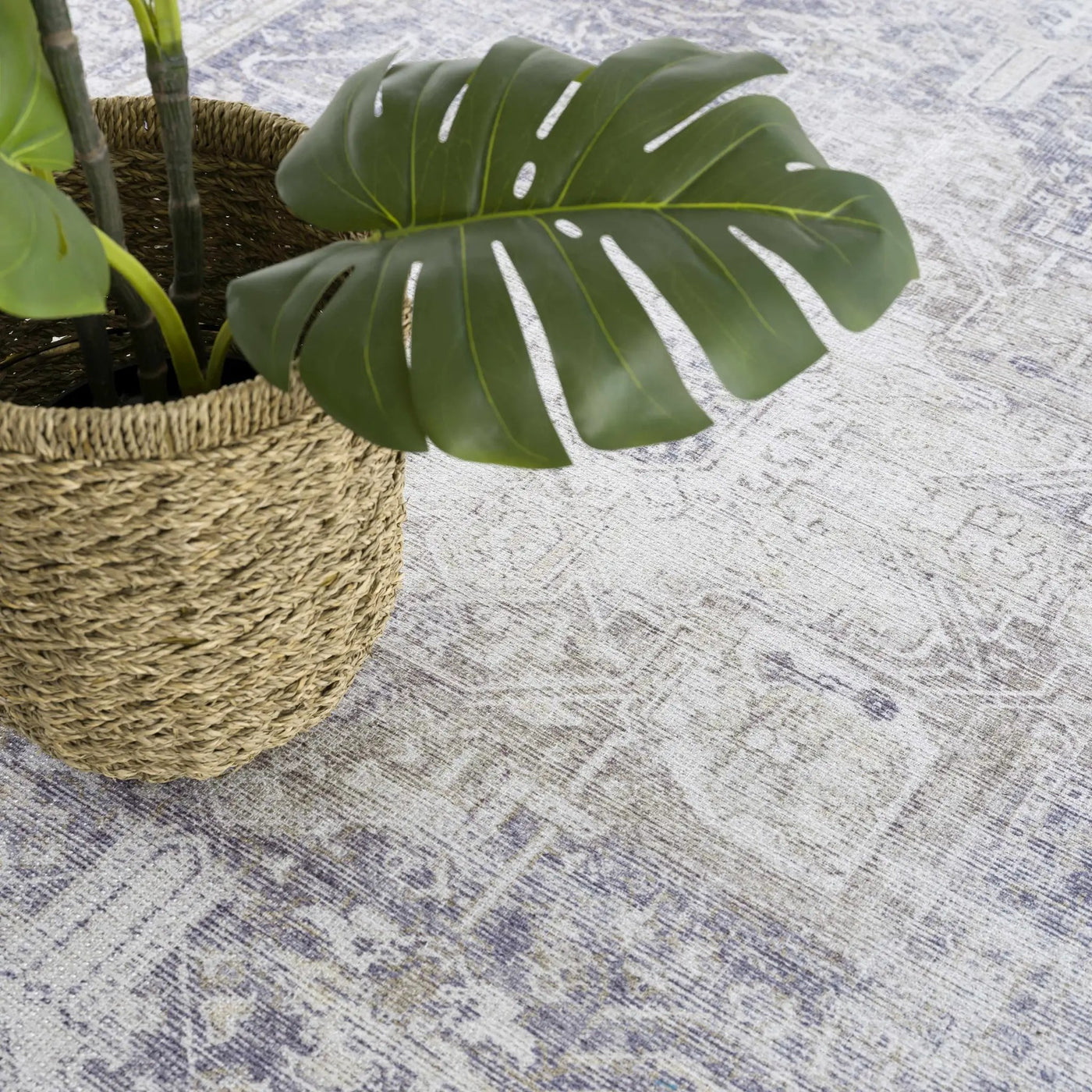 Rosman Olive Washable Area Rug by Hauteloom