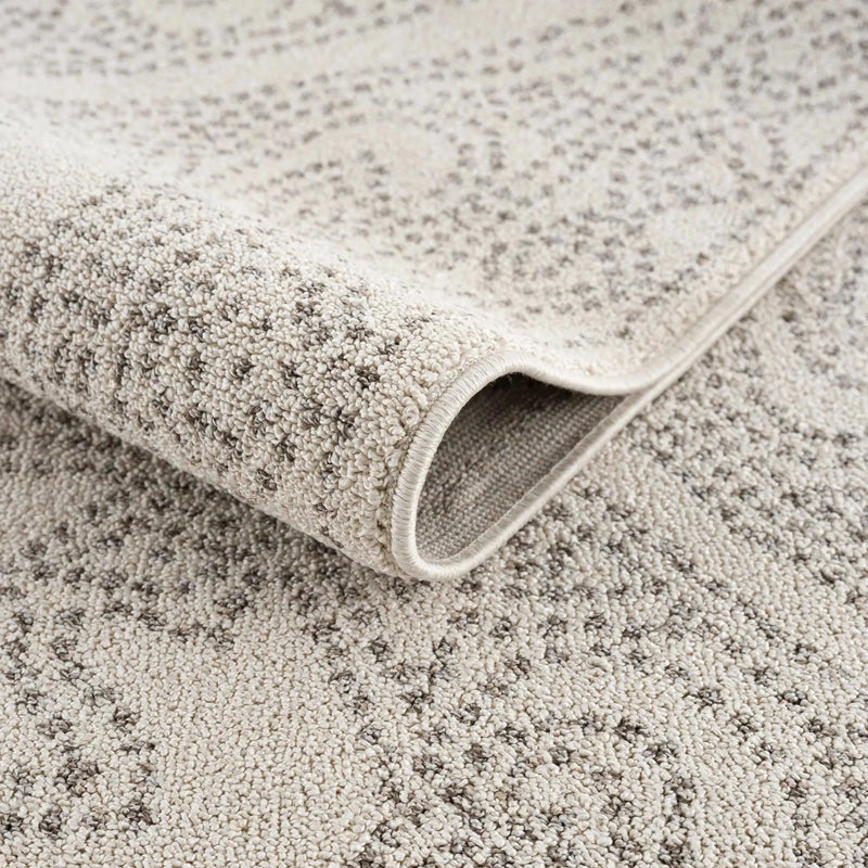 Birdwood Cream & Brown Area Rug by Boutique Rugs