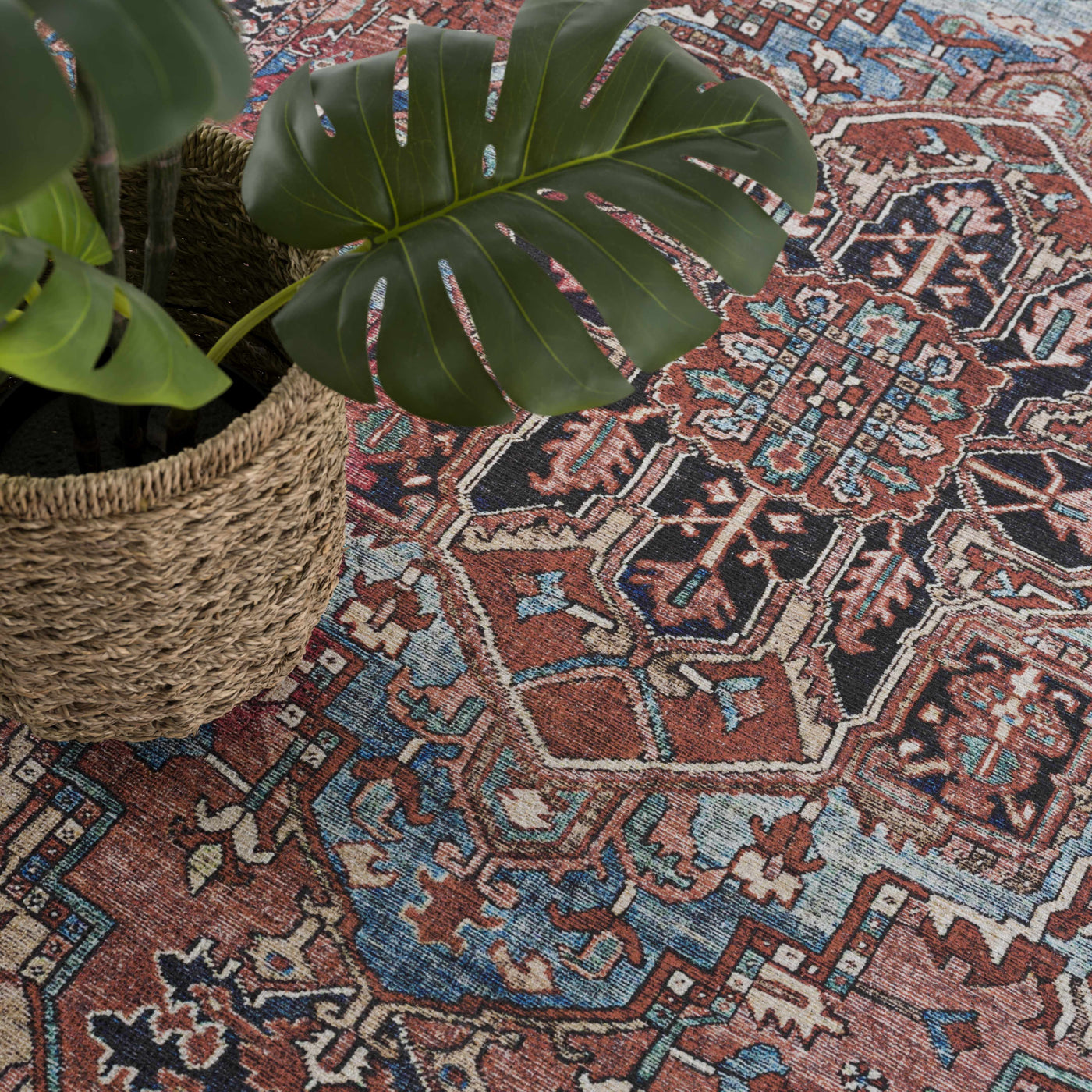 Neyland Washable Area Rug by Boutique Rugs