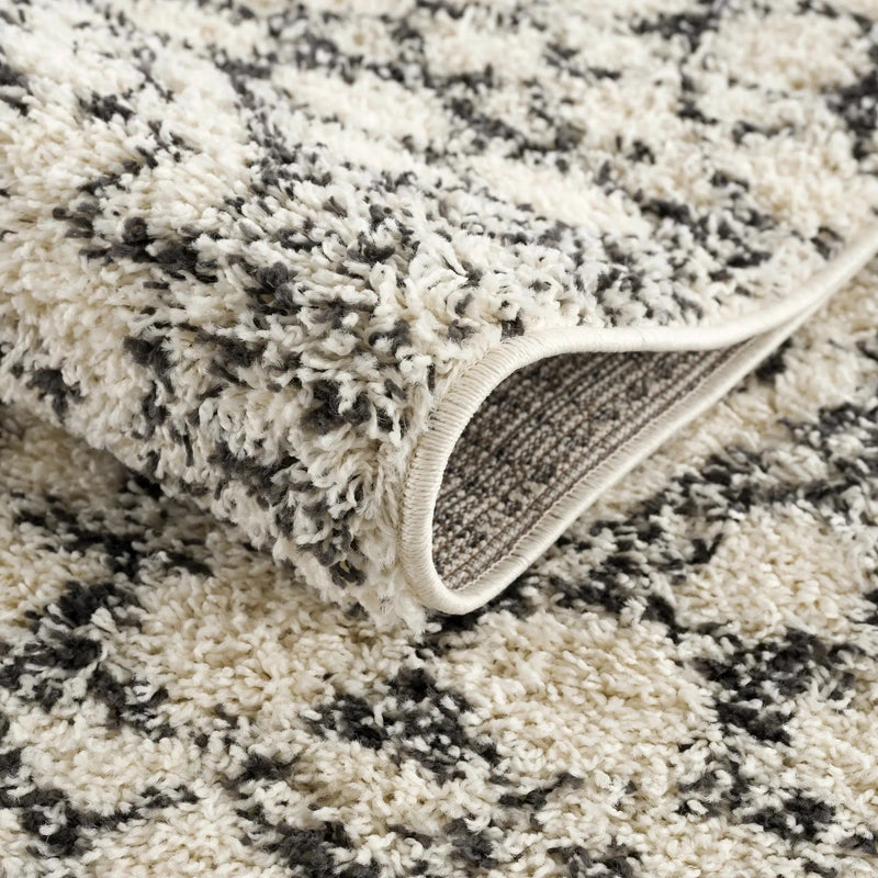 Buan Plush Area Rug by Hauteloom