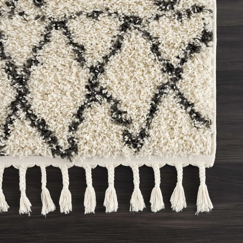 Emlenton Berber Shag with Tassels - Clearance by Boutique Rugs