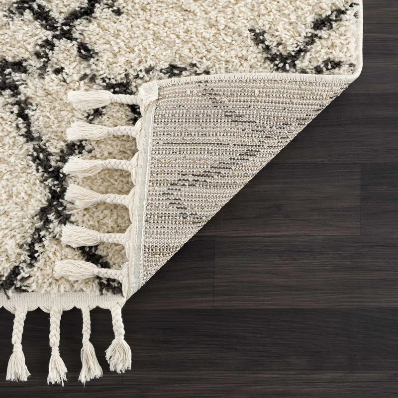 Emlenton Berber Shag with Tassels - Clearance by Boutique Rugs