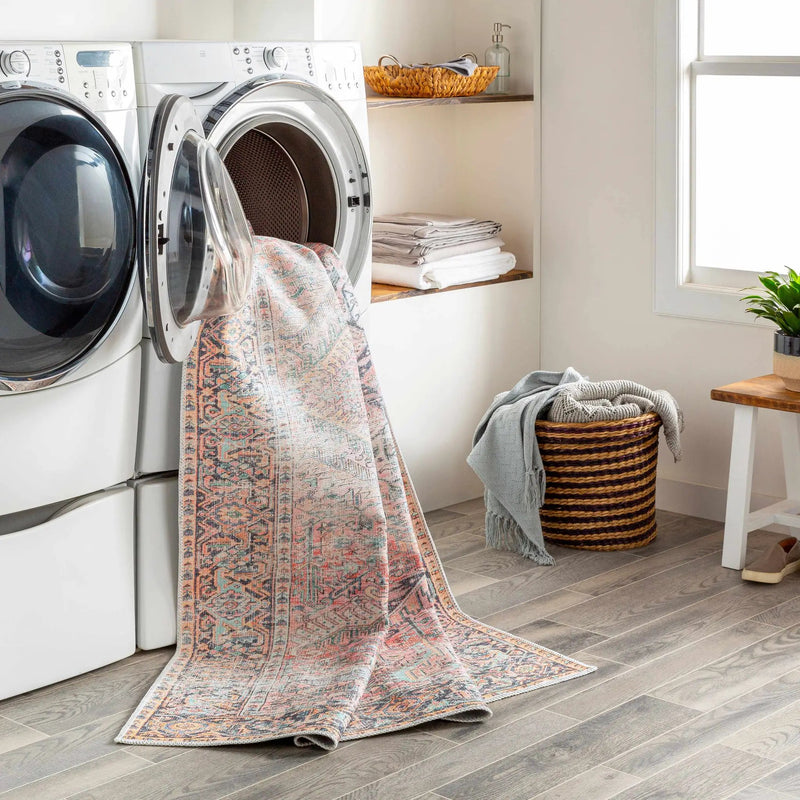 Dunsha Boutique Washable Area Rug - Clearance by Boutique Rugs