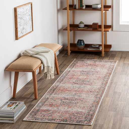 Dunsha Boutique Washable Area Rug - Clearance by Boutique Rugs