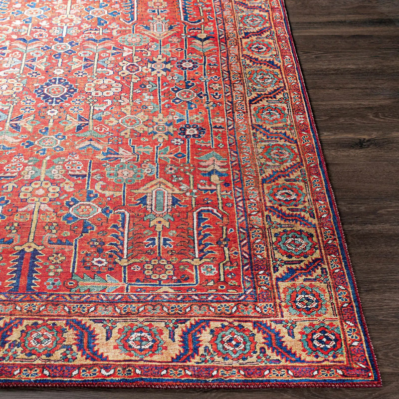 Edwardsburg Traditional Red Rug by Boutique Rugs