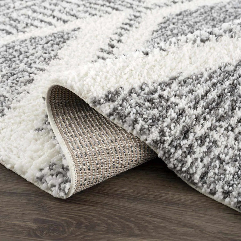Trunding Plush Area Rug by Boutique Rugs