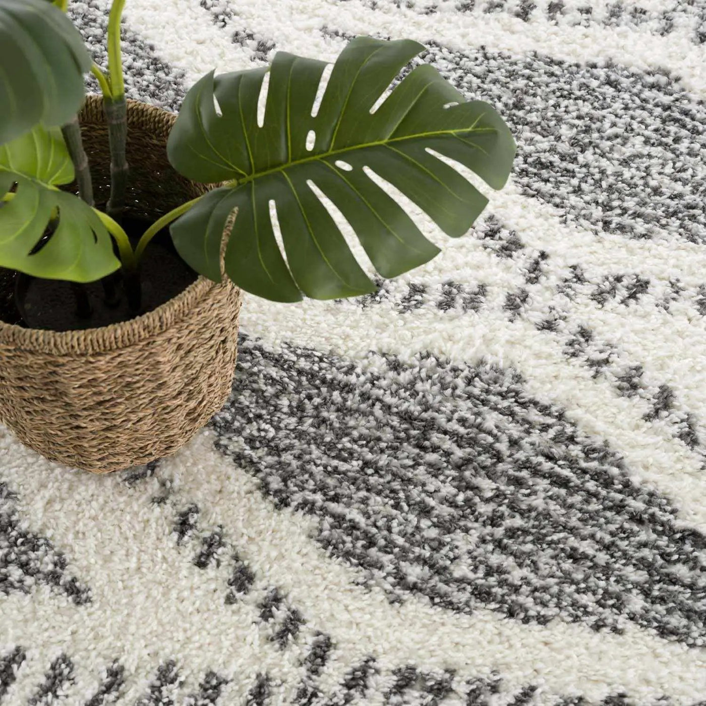 Trunding Plush Area Rug by Boutique Rugs