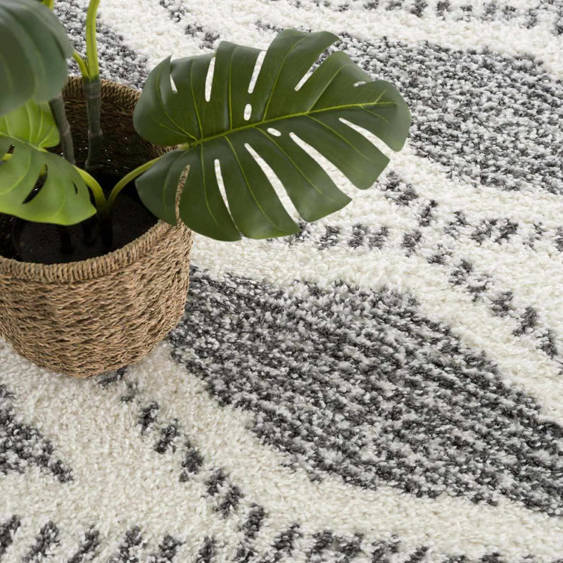 Trunding Plush Area Rug by Boutique Rugs