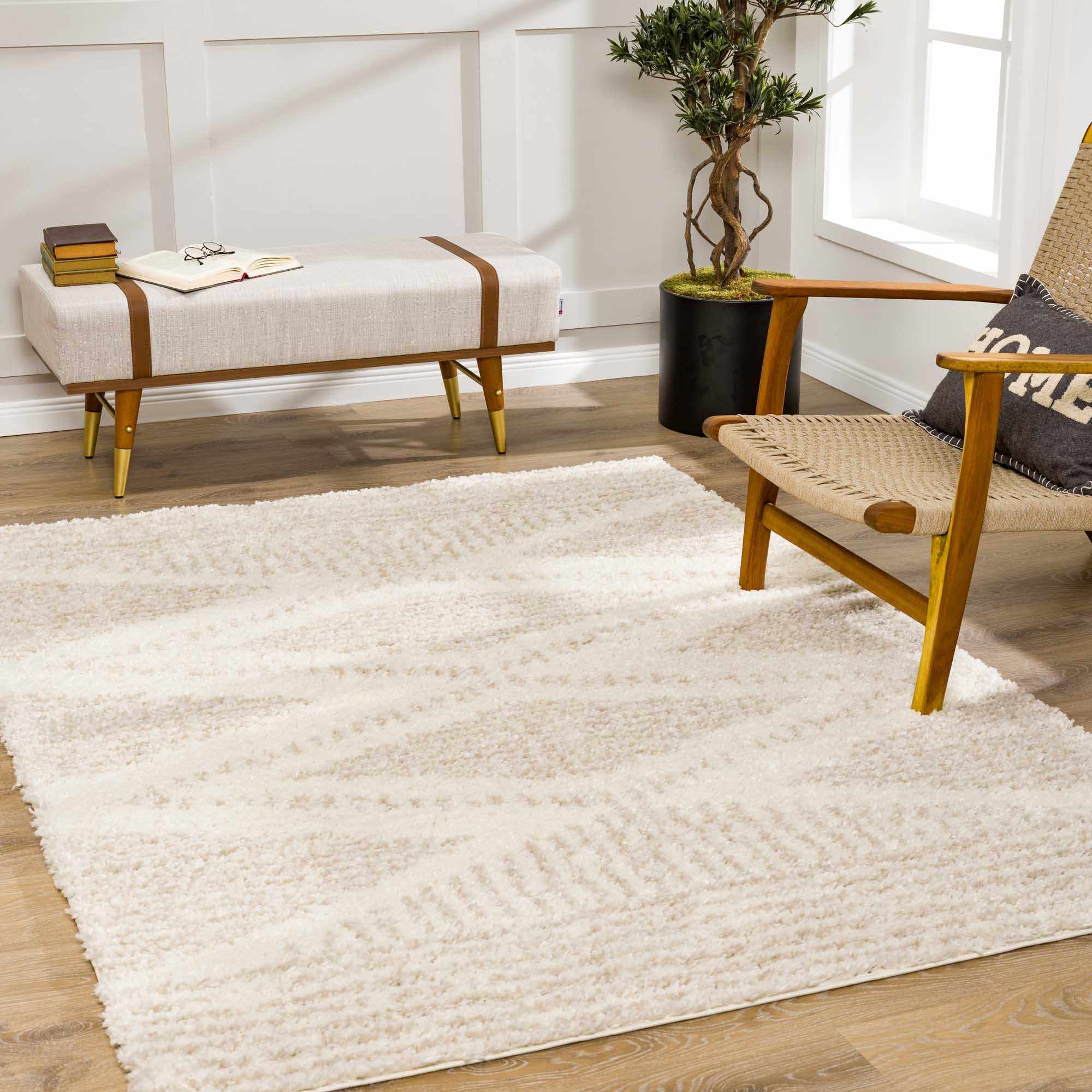 Trunding Plush Area Rug in Light Beige by Hauteloom