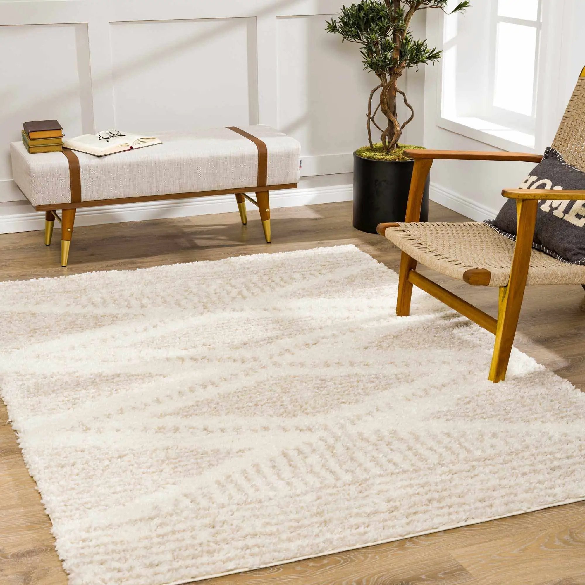 Trunding Plush Area Rug in Light Beige by Hauteloom
