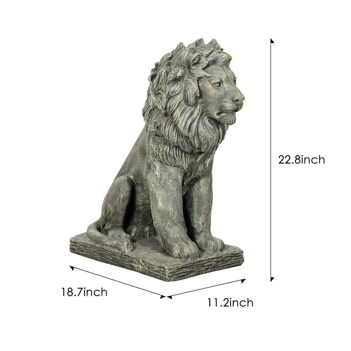 Concrete Outdoor Lion Statue Guardian Seated 22 Inch, dimensions drawing