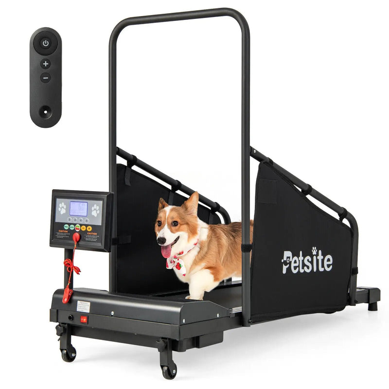 Indoor Pet Exercise Equipment with Remote Control by DirectDeals