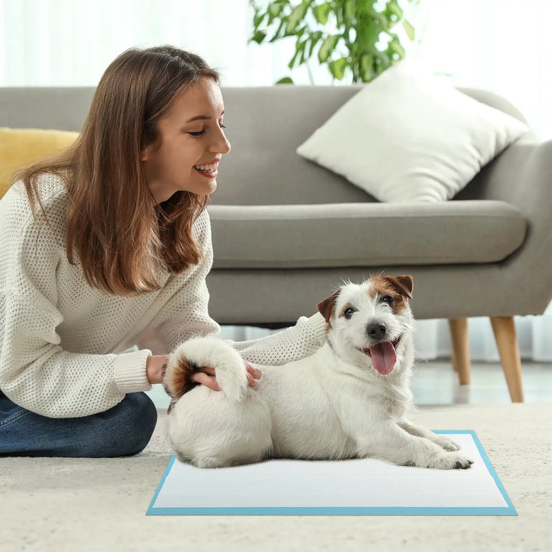 Dog and Puppy Pee Pads 24" x 17" (300 Counts) for Potty Training-Blue by DirectDeals