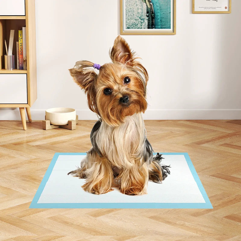 Dog and Puppy Pee Pads 18" x 13" (300 Counts) for Potty Training-Blue by DirectDeals