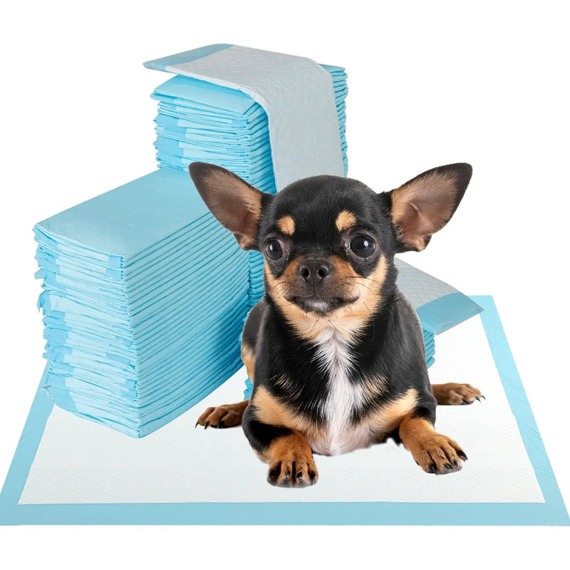 Dog and Puppy Pee Pads 18" x 13" (300 Counts) for Potty Training-Blue by DirectDeals