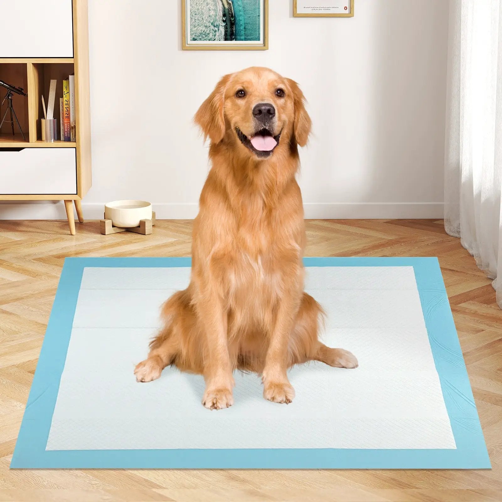 Dog and Puppy Pee Pads 36" x 36" (100 Counts) for Potty Training-Blue by DirectDeals