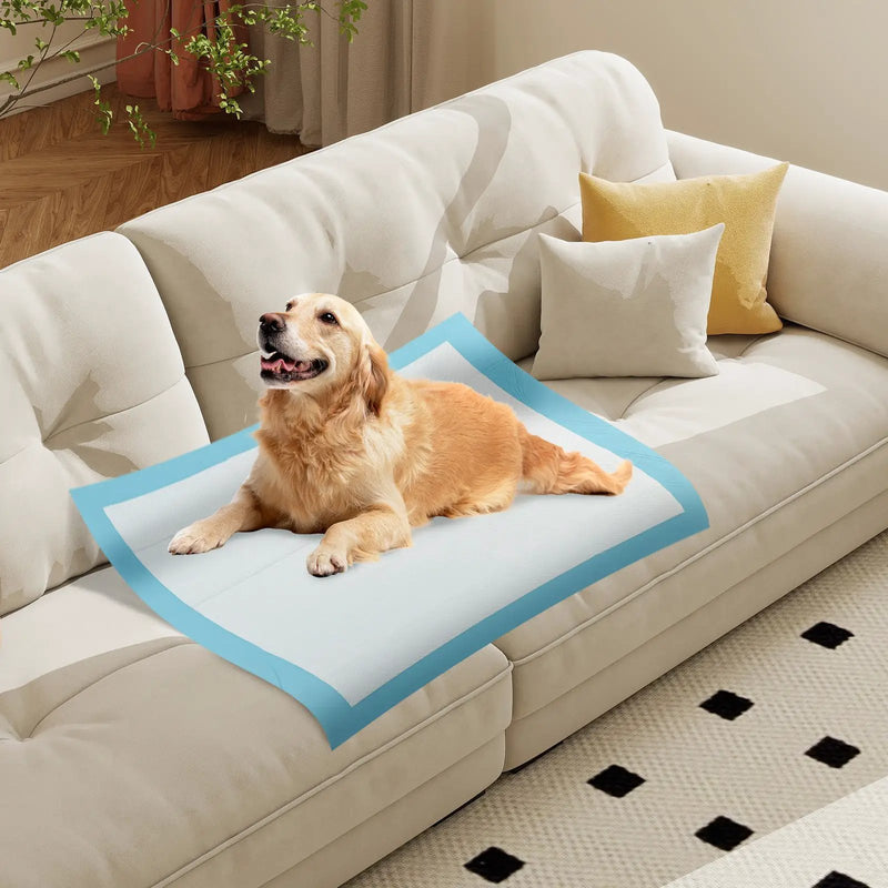 Dog and Puppy Pee Pads 36" x 36" (100 Counts) for Potty Training-Blue by DirectDeals