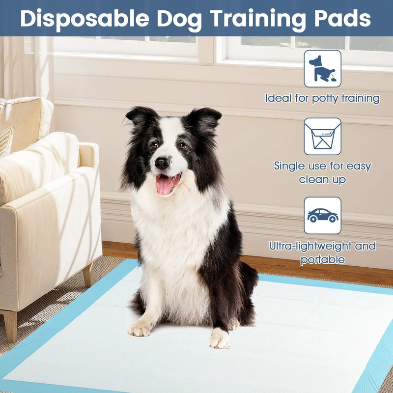 Dog and Puppy Pee Pads 36" x 36" (100 Counts) for Potty Training-Blue by DirectDeals